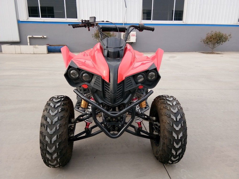 Ventili 200cc raffreddato che corre il quadrato/4 il cilindro 65km/H del carraio 1 di Atv del colpo 4