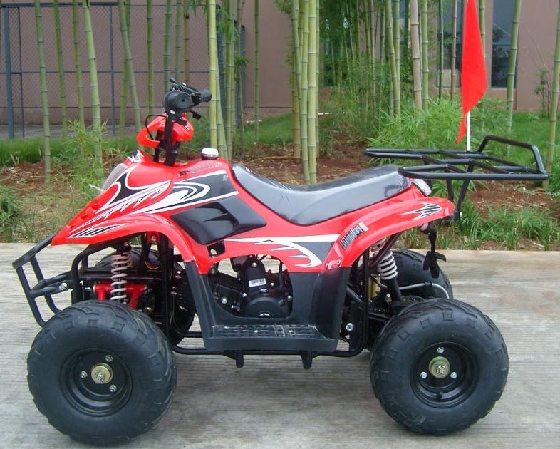 Doppio rendimento elevato anteriore di caricamento massimo della bici 80KG del quadrato del braccio 70cc ATV dell'oscillazione