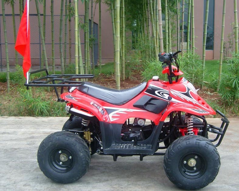 Doppio rendimento elevato anteriore di caricamento massimo della bici 80KG del quadrato del braccio 70cc ATV dell'oscillazione