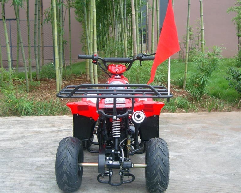 Doppio rendimento elevato anteriore di caricamento massimo della bici 80KG del quadrato del braccio 70cc ATV dell'oscillazione