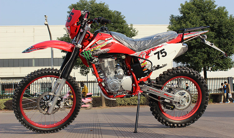 La sporcizia alimentata a gas di CDI Lgnition Bikes 150cc il mini tipo peso di caricamento di 150KG